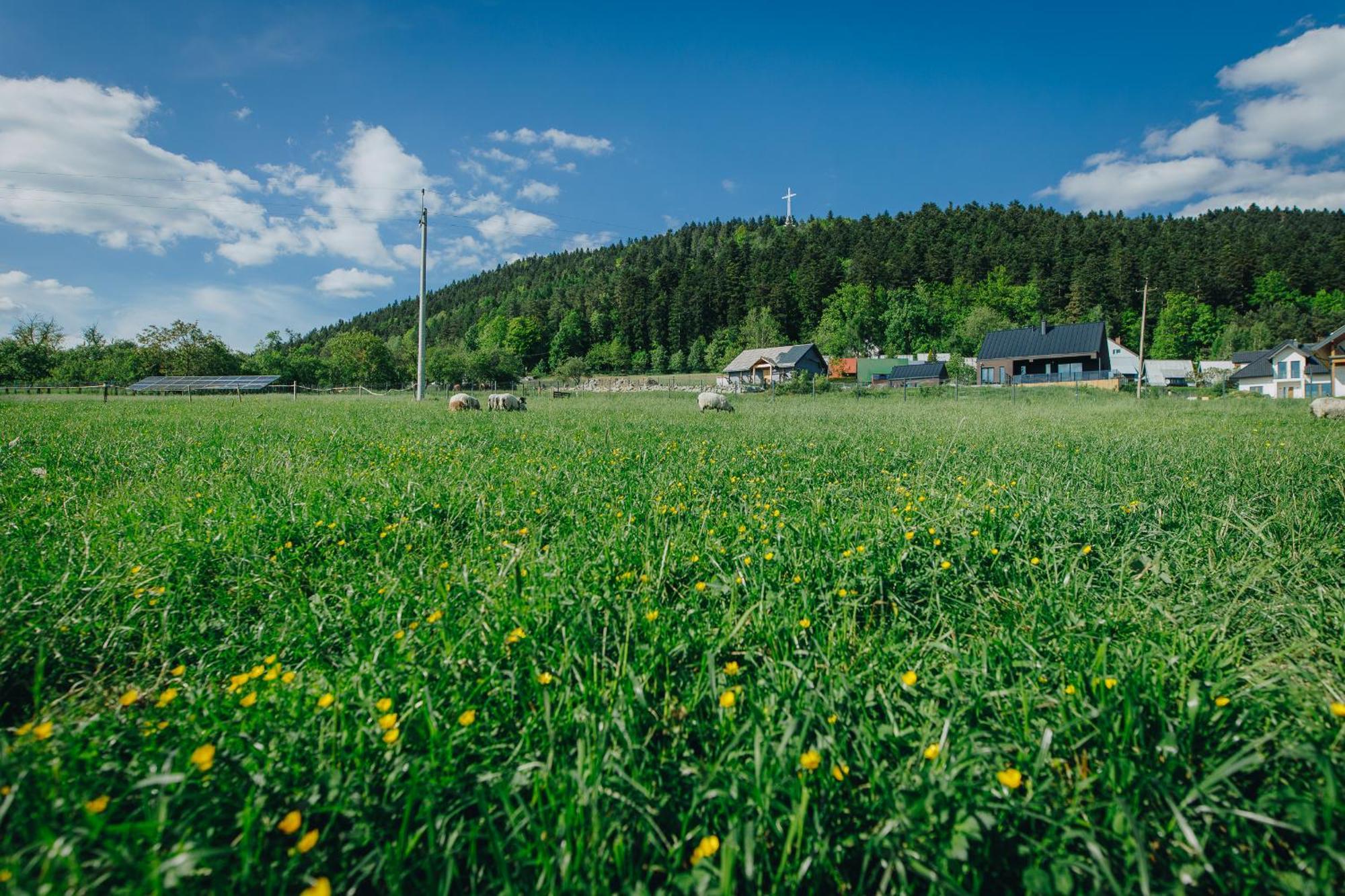Apartamenty Lesna Limanowa Exteriér fotografie