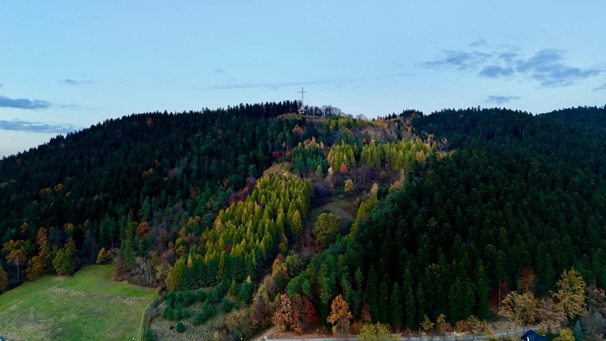 Apartamenty Lesna Limanowa Exteriér fotografie